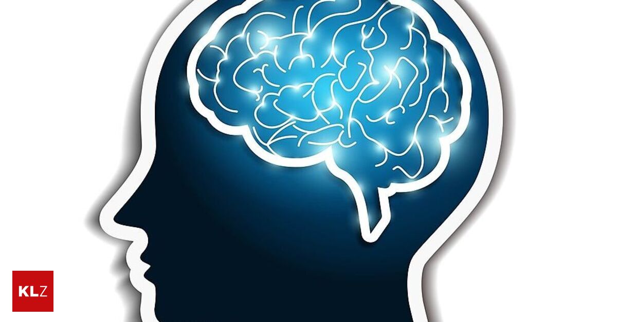 Was Passiert Im Gehirn Bei Alzheimer Einfach Erklärt Infografik: Alzheimer: Das passiert im Gehirn