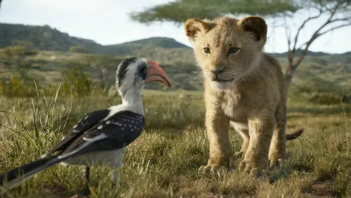 Gestatten, das ist Simba! Der kleine verspielte Löwenjunge ...