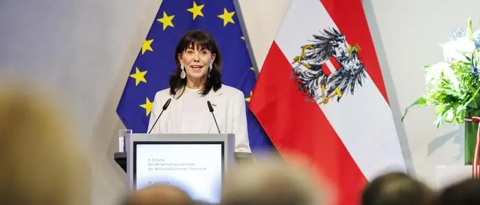 Ziel sei eine „moderne und leistungsfähige Interessenvertretung“, so Schultz vor dem Wirtschaftsparlament