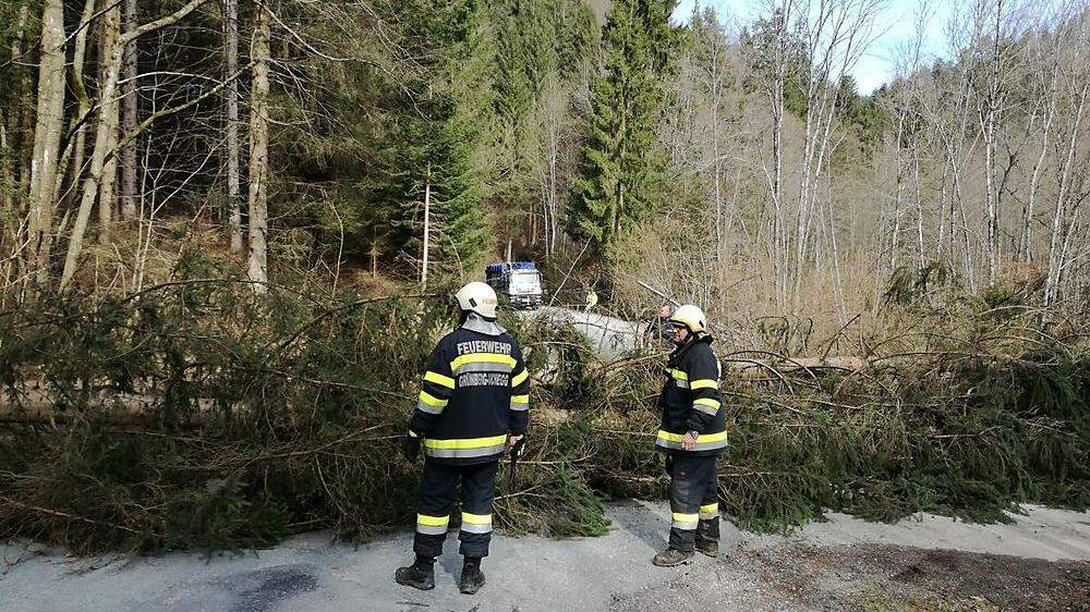 In Grünberg-Aichegg waren mehrere Bäume auf die Straße gestürzt