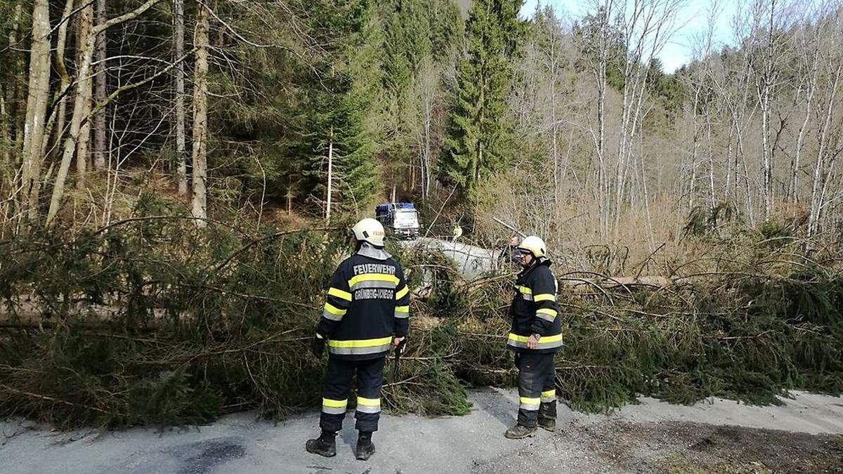 In Grünberg-Aichegg waren mehrere Bäume auf die Straße gestürzt