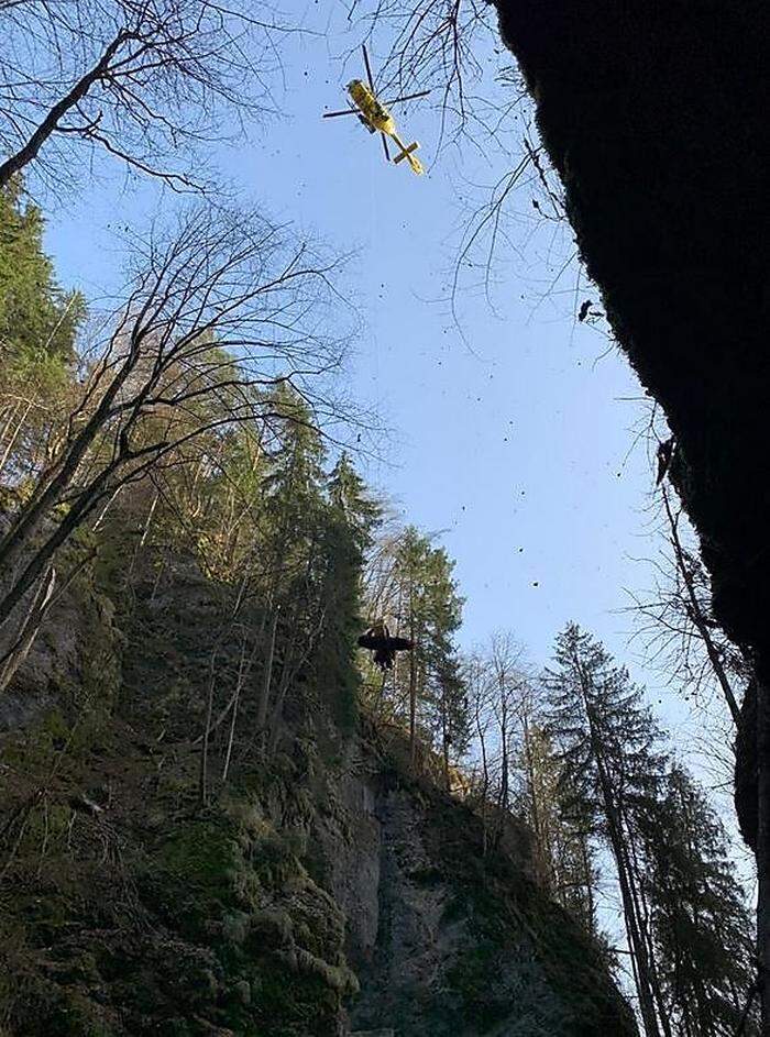 Damit der Hubschrauber den Verletzten bergen kann, musste ein Kamerad erst einen Baum umschneiden