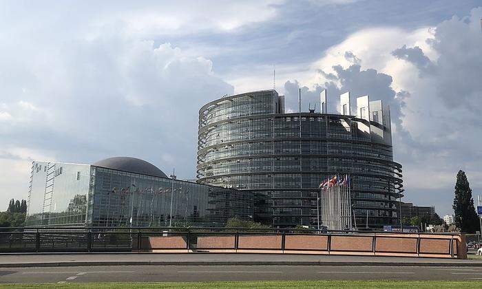 Rauchende Köpfe im EU-Parlament in Straßburg: Worüber genau hatte man gerade abgestimmt?