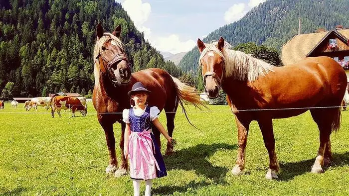 Die Sommerfrische auf der Alm hat für Pferde, Kühe, Ziegen und andere Tiere nun ein Ende.
