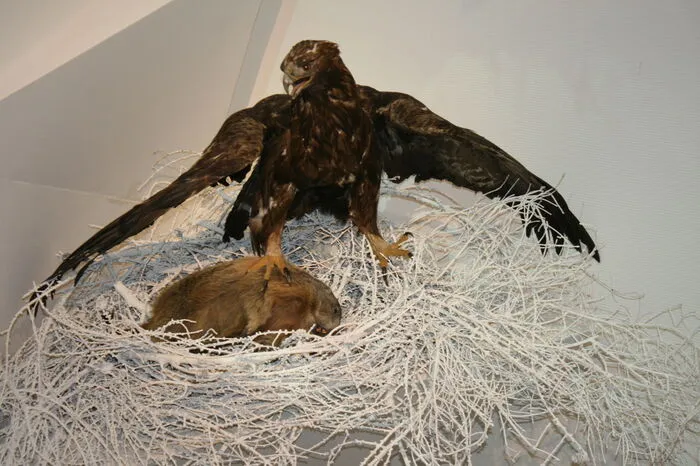 Einige Ausschnitte aus der Ausstellung präsentieren wir in Bildern. Klickt euch durch.