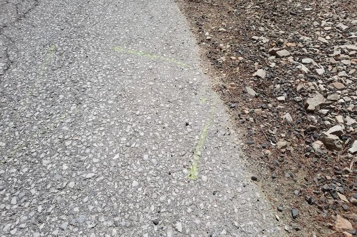 Der Fahrer des Tanklöschfahrzeugs wich aus: Die Markierungen sind noch immer zu sehen - hier kam das Feuerwehrauto erstmals mit seinem Reifen auf das Bankett.