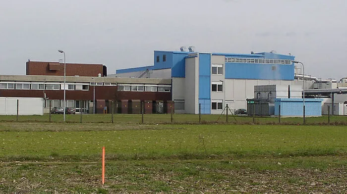 Im ehemaligen Philips-Werk in Lebring werden doch keine Versuchstiere gezüchtet