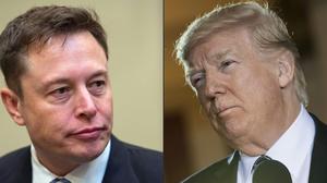 Elon Musk greift Donald Trump unter die Arme 