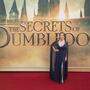 Joanne K. Rowling bei der Filmpremiere von &quot;Dumbledores Geheimnisse&quot;