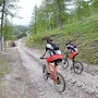 Das Thema Mountainbiken auf Forststraßen erregt in der Ramsau die Gemüter