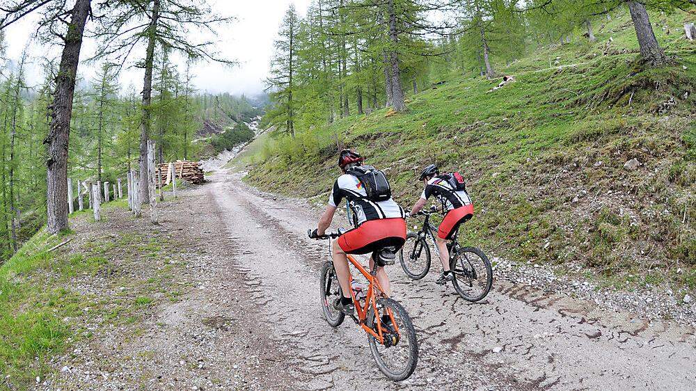 Das Thema Mountainbiken auf Forststraßen erregt in der Ramsau die Gemüter