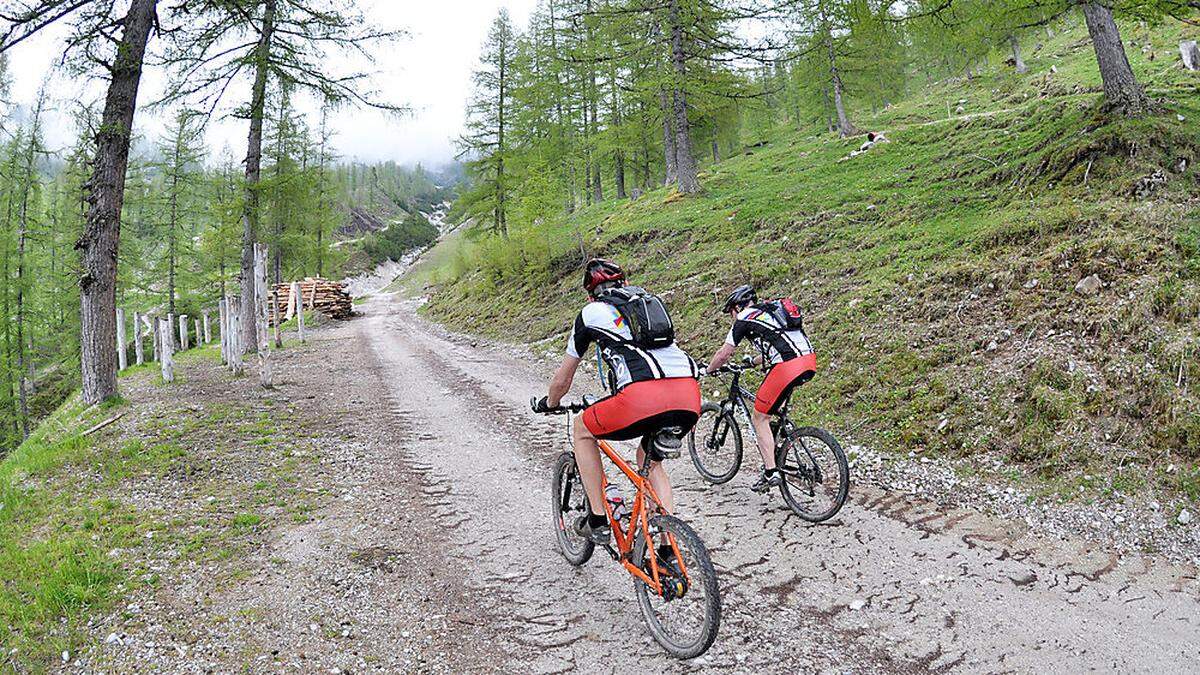 Das Thema Mountainbiken auf Forststraßen erregt in der Ramsau die Gemüter