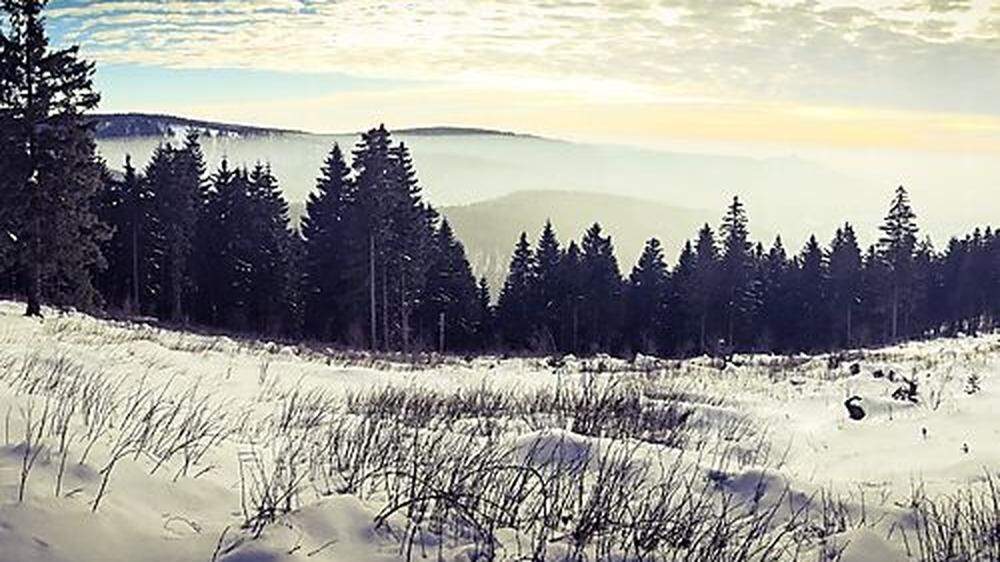 Märchenhaft. Der knapp 1000 Quadratkilometer zählende Thüringer Wald lockt im Sommer Wanderer und im Winter Skisportler 