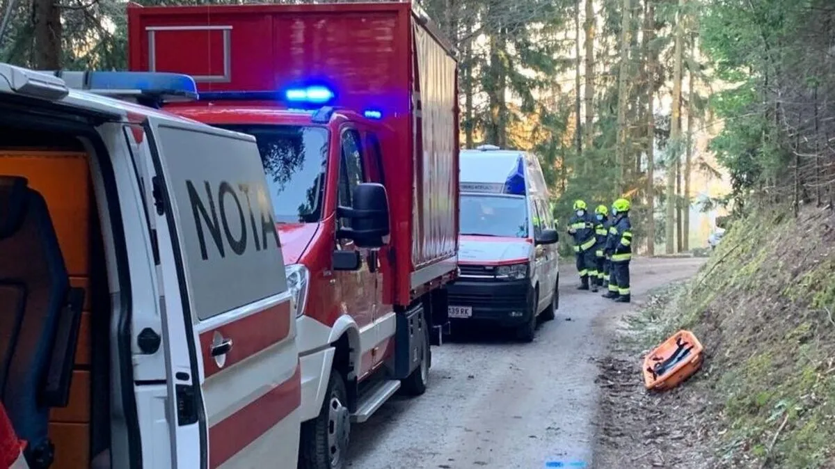 Viele Einsatzkräfte waren Freitag Nachmittag in Kohlschwarz im Wald
