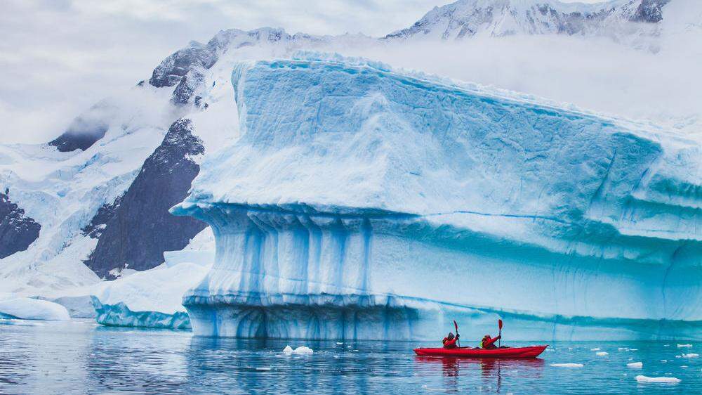 Durch wachsenden Tourismus und Forschungsaktivitäten können fremde Arten in die Antarktis eingeschleppt werden