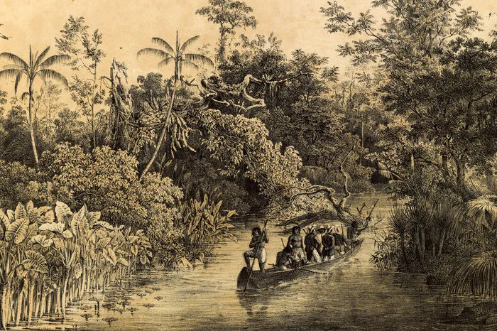 Gold- und Diamantensucher gibt es seit dem 17. Jahrhundert am Amazonas. 1967 wurden Eisenerzvorkommen entdeckt. Brasilien zählt zu den größten Eisenerzförderern der Welt nach China und Australien.