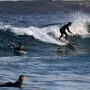 Die umgehend alarmierten Rettungsschwimmer seien hinausgefahren, um die Haie zu vertreiben und die Menschen im Wasser zu warnen