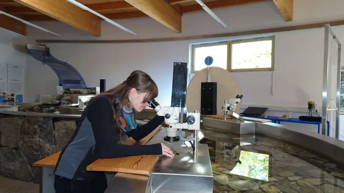Um 550.000 Euro wurde das einstige Bios in ein zeitgemäßes Besucherzentrum in Mallnitz umbebaut.In drei Ranger-Labs kann experimentier und geforscht werden.