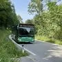 Die Buslinie 48