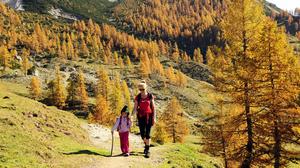 Wenn sich die Blätter verfärben, ist das Murtal eine beliebte Gegend zum Wandern