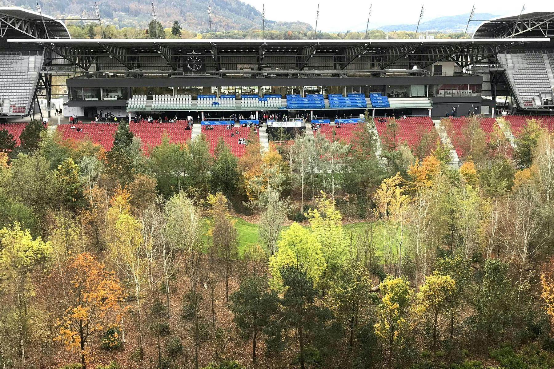 Wald im Stadion : „For Forest“-Künstler Littmann hat wieder einen Baum gepflanzt  