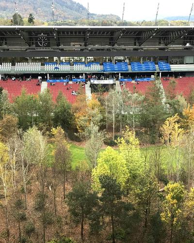 299 Bäume wurden im Stadion gepflanzt (Archivbild) 