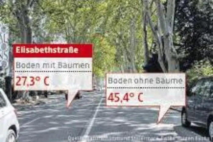 Hier Gepps Messergebnisse in der Elisabethstraße.