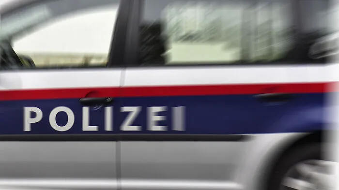 Die Polizei hatte die beiden Burschen rasch gefasst
