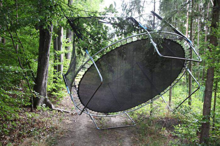 Das Trampolin landete im Wald