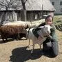 Marion Nestler setzt auf alternative Tierhaltung auf offener Weide und hat dadurch mit massiven Problemen zu kämpfen