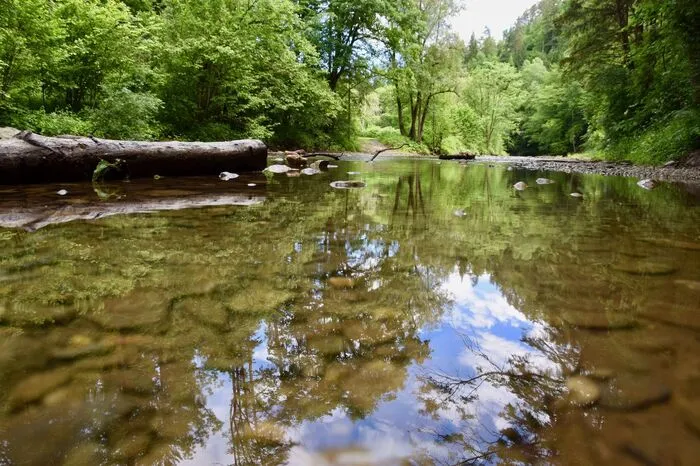Fotografische Eindrücke aus der Großen Raabklamm