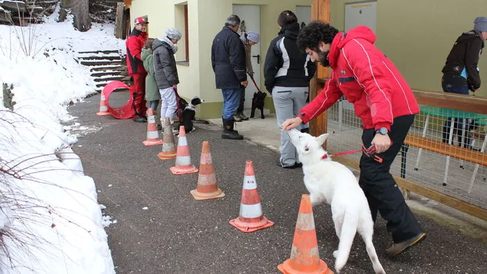 Der Slalom ist für manche Hunde kein Problem - Leckerlis sei Dank!