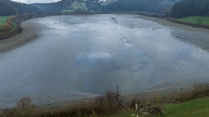 Ein letztes Mal wurde der große Hornegger Teich abgefischt.