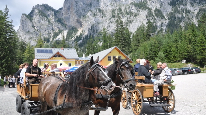 Das windige Wetter hat vorerst einige Besucher gebremst, aber die sonnigen Momente lockten auch heuer wieder einige Tausend Wanderer zum Weisenblasen und zur Umrundung des Grünen Sees.
