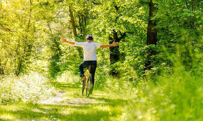 Erkunden Sie doch die herrlich grünen Murauen mit dem Fahrrad ... 