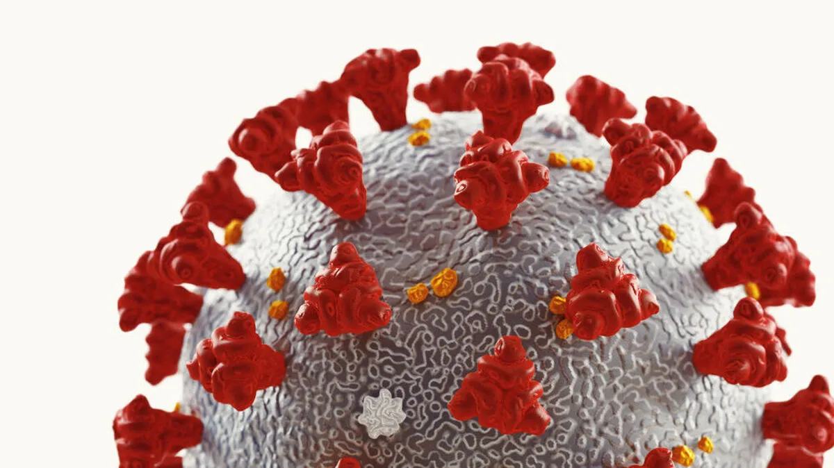 Das Corona-Virus wird uns trotz langsam sinkender Fallzahlen weiterhin begleiten