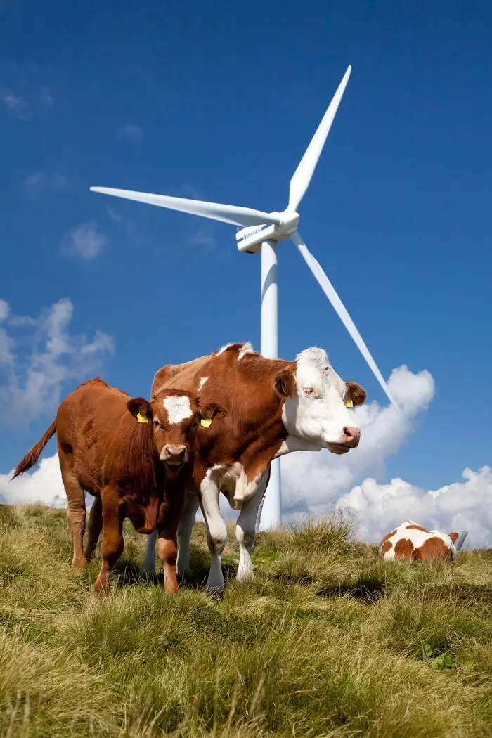 Der Tauernwindpark war einst der höchstgelegene Windpark Europas