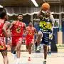 Tevin Brewer war mit 24 Punkten der beste Werfer der Grazer in Wels 