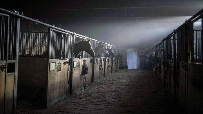 Die achtteilige Prime-Time-Serie rund um Macht, Intrige und Sehnsucht vor dem Hintergrund eines Trakehner-Pferdegestüts startet am 2. November auf ServusTV.