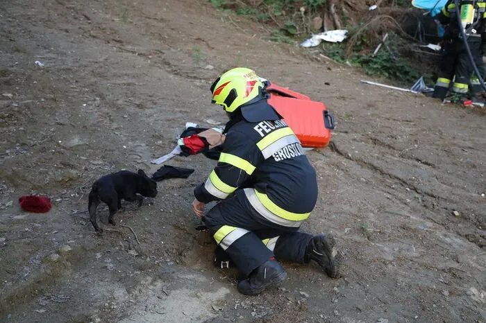 Nicht nur der 61-jährige Lenker konnte geborgen und von den Rettungskräften stabilisiert werden, die Feuerwehrleute versorgten auch den Hund des Briten, der ebenfalls im Campingbus war