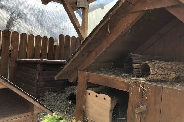 Alle Kaninchen und Meerschweinchen leben in großen Gehegen im Freien.