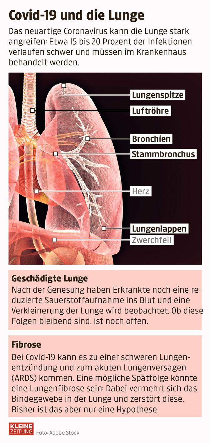 Schäden an der Lunge
