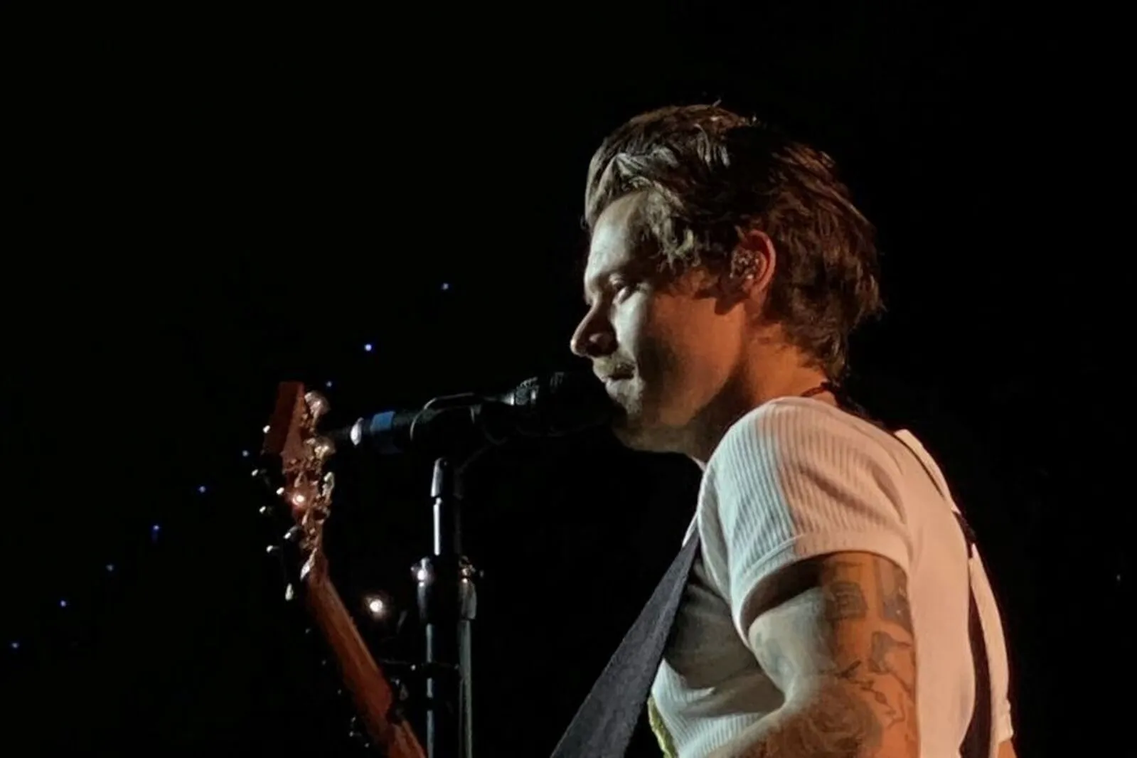 Harry feierte sein Österreich-Debut als Solokünstler in der Stadthalle in Wien