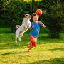 Kinder mit Hund sind aktiver als Kinder ohne.
