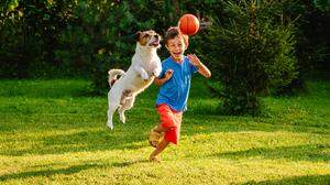 Kinder mit Hund sind aktiver als Kinder ohne.