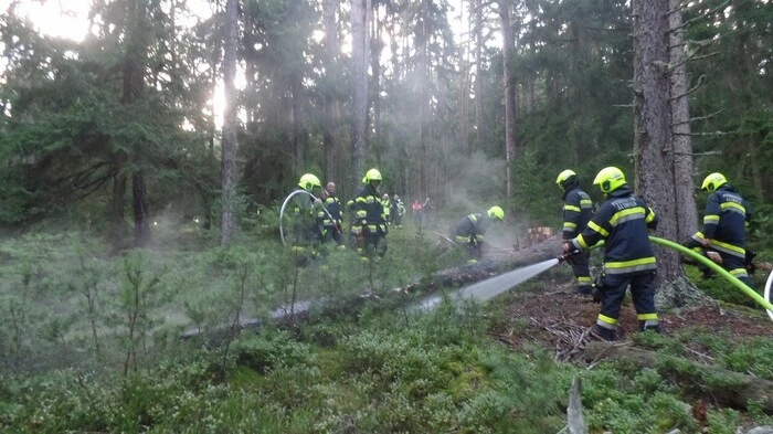 Nach einem Blitzschlag mussten die FF Althofen und Guttaring sowie der Polizeihubschrauber Libelle Kärnten zu einem Löscheinsatz auf den Pleschutz ausrücken.