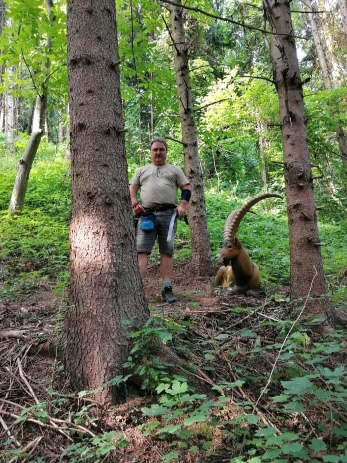 Im Wald bei Afram können Schützen auf 3D-Tiere schießen