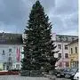 Die rund 20 Meter hohe Tanne sorgt schon für etwas Weihnachtsstimmung in Völkermarkt