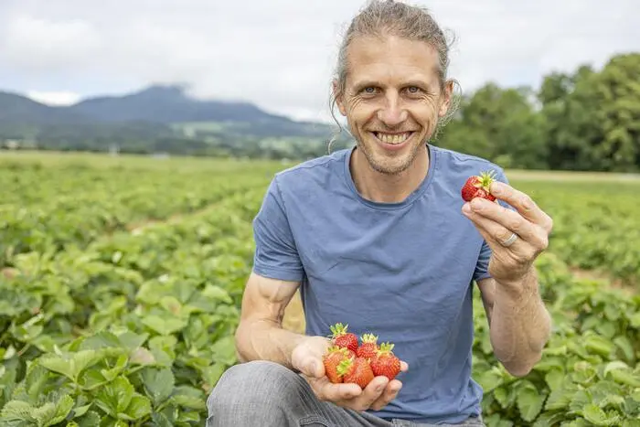 Daniel Dörfler in seinem Feld in Maria Saal 