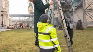 Opern-Intendantin Nora Schmid und Vizebürgermeisterin Judith Schwentner beim Enthüllen der Tafel